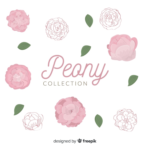 Free vector collection of peony flowers in hand drawn design