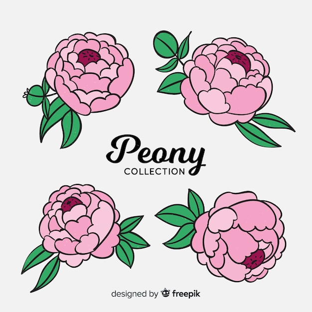 Free vector collection of peony flowers