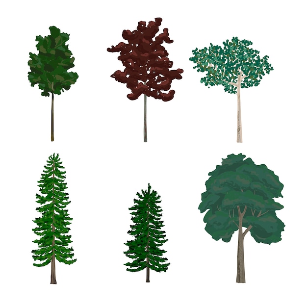 Free vector collection of pine and leaf tree illustrations