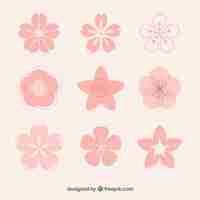 Free vector collection of pink flowers with variety of designs