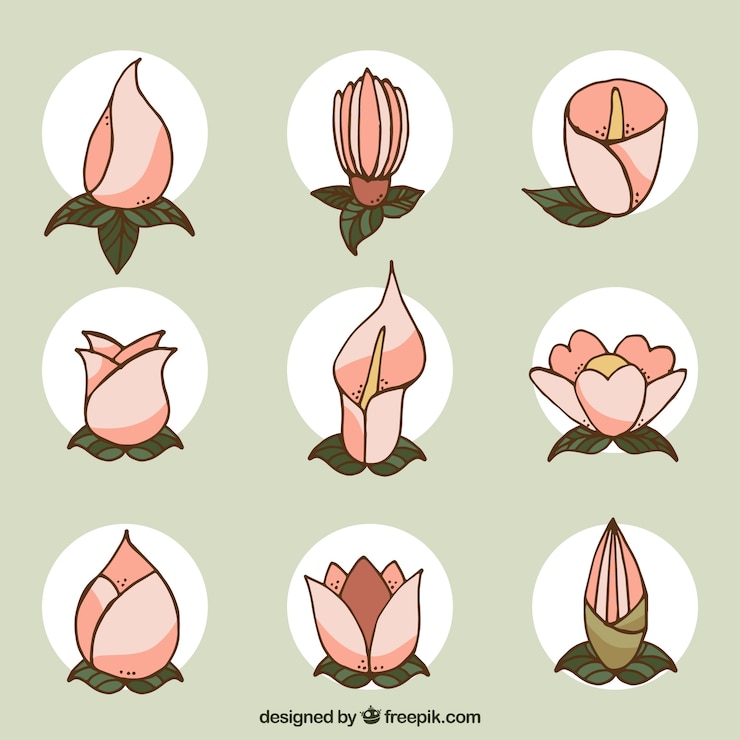 Free Vector collection of pink spring flowers
