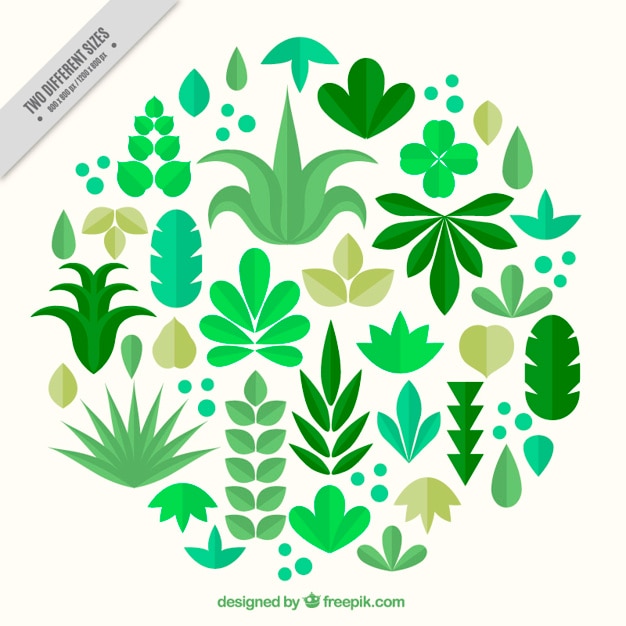 Free vector collection of plants