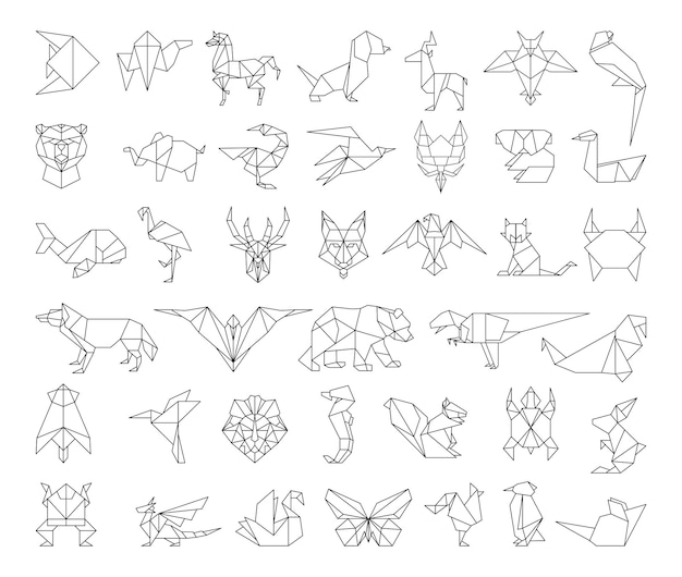 Collection of polygonal linear animals
