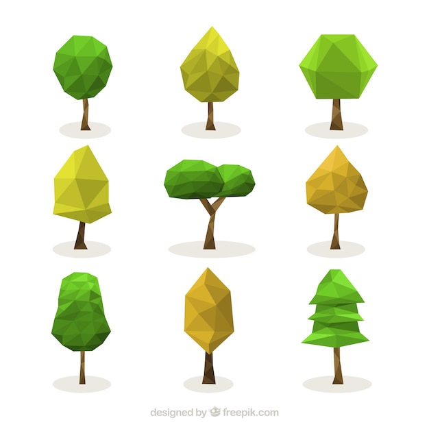 多角形の木のコレクション
