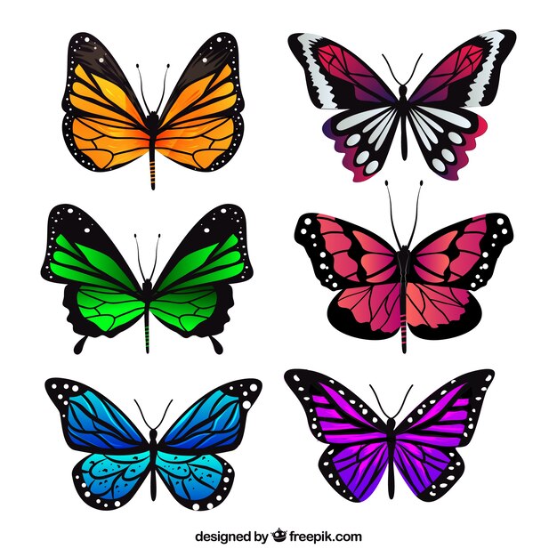 Коллекция реалистичных бабочек