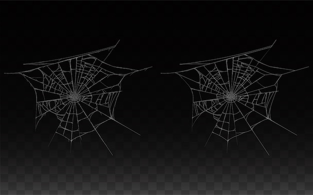 Download Free Spiderweb Images Free Vectors Stock Photos Psd Use our free logo maker to create a logo and build your brand. Put your logo on business cards, promotional products, or your website for brand visibility.