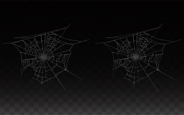 collection of realistic cobweb, spider web isolated on dark background. 