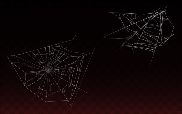 현실적인 거미줄, 거미줄 어두운 배경에 고립의 컬렉션입니다.