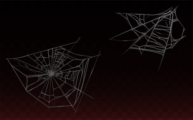 collection of realistic cobweb, spider web isolated on dark background. 
