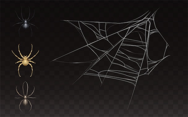 133,332 Spiderweb Images, Stock Photos, 3D objects, & Vectors