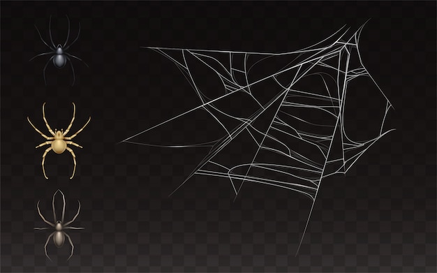 Free vector collection of realistic cobweb and spider. web with insect isolated on dark background.