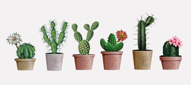 Collection of  realistic detailed house or office plant cactus for interior design and decoration. exotical and popular indoor cacti with flowers for interior decor of home or office.