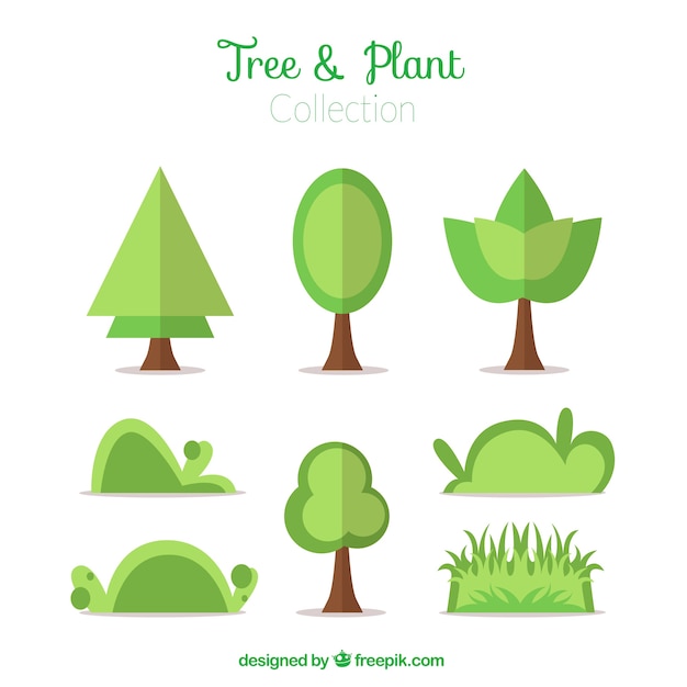 Collection of shrubs and trees in flat design
