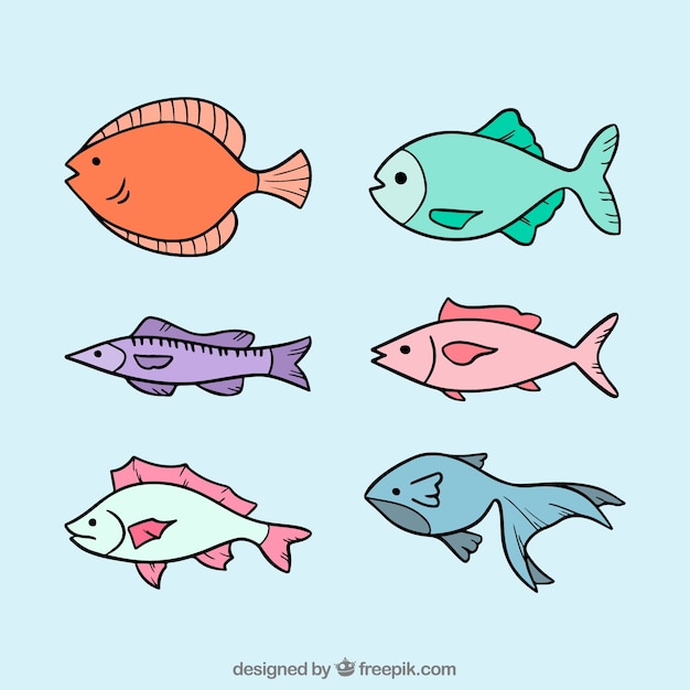 Коллекция из шести рыб