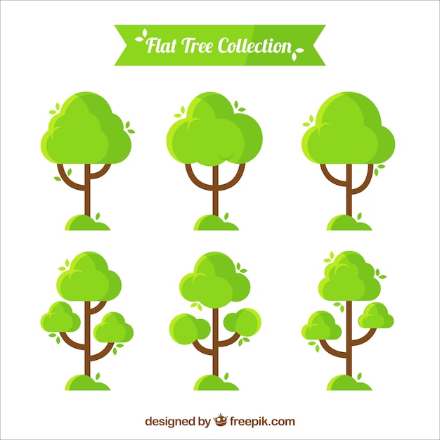 Collection of six trees with different designs