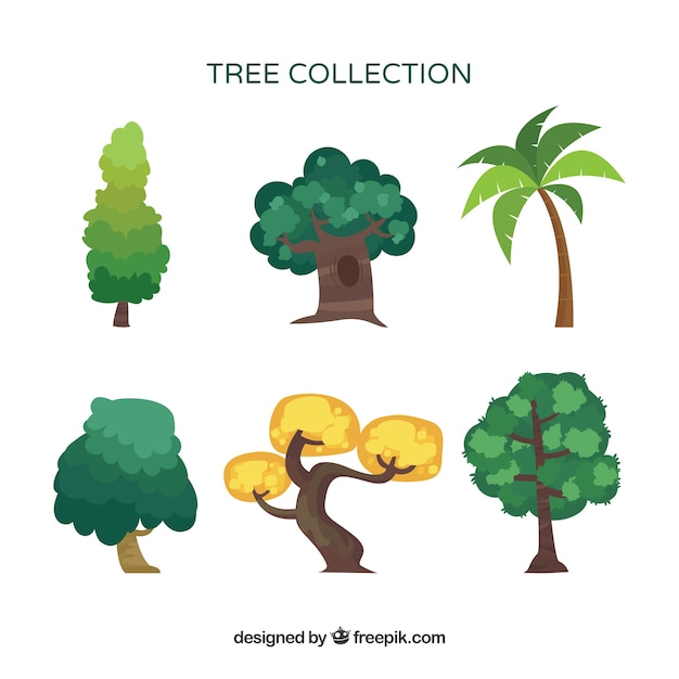 Коллекция из шести деревьев