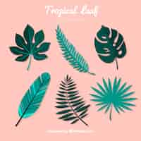 Free vector collection of six tropical leaves