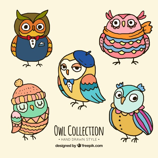 Collection of sketches of colorful owls