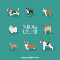 Free vector collection of small dog