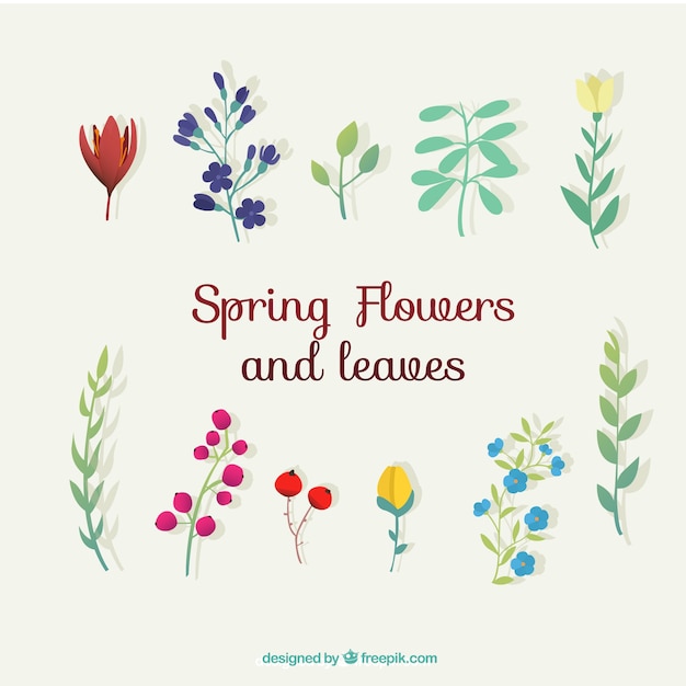 Free vector collection of spring flowers and leaves