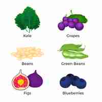 Free vector collection of superfood