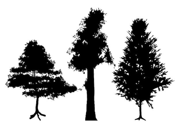 세 가지 상세한 나무 실루엣의 컬렉션