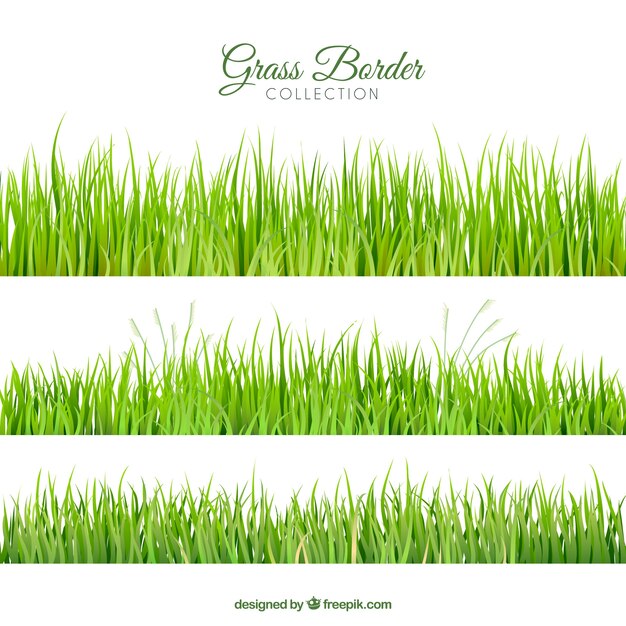 Collection of three realistic grass borders