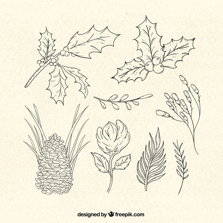 Free Vector collection of traditional christmas plants