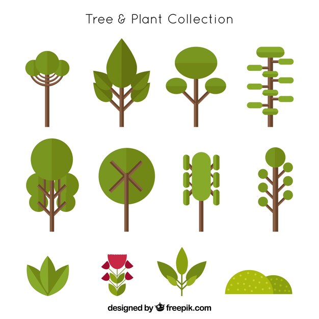 Collection of trees in flat design and shrubs