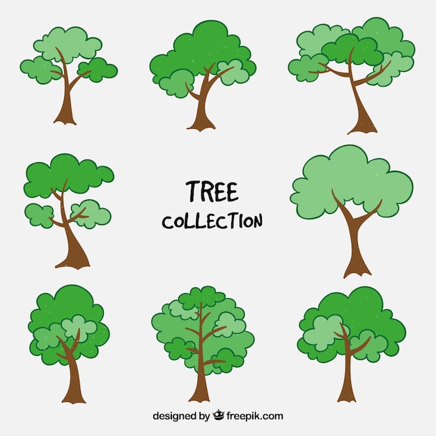 Collection of trees