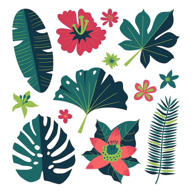 Free vector collection of tropical flowers and leaves
