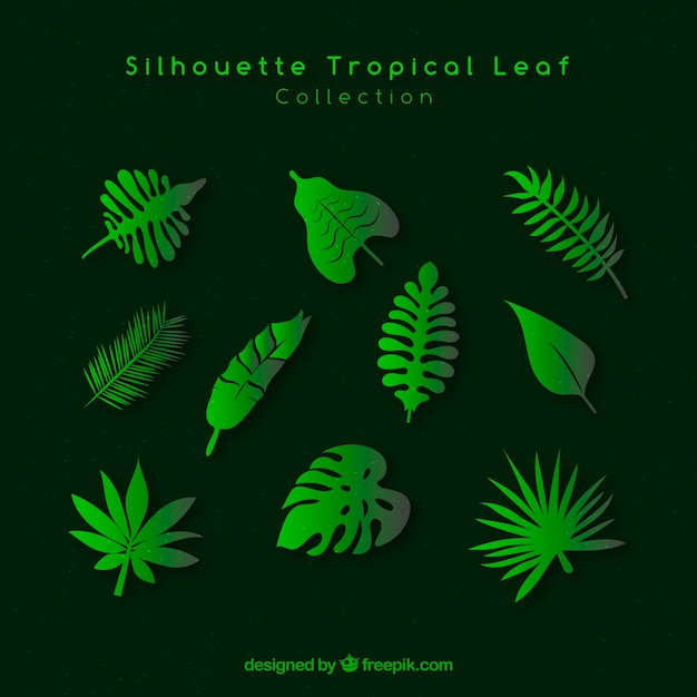 Free vector collection of tropical leaves