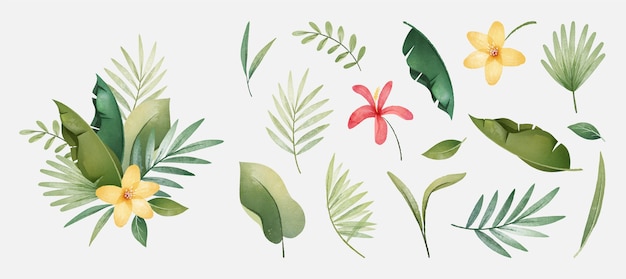 Collection of tropical plants and leaves Free Vector