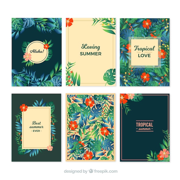 Free vector collection of tropical summer cards