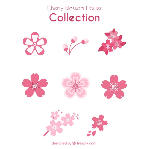 collection of variety of cherry blossoms