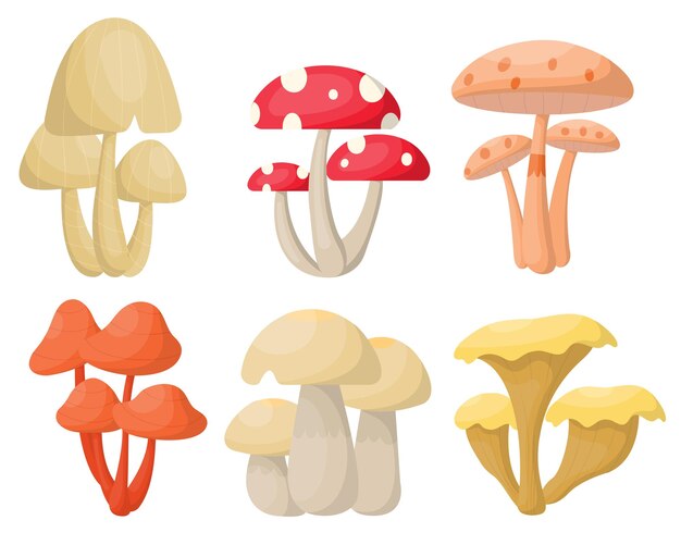 Collection of various type of fresh mushroom drawing isolated on white natural organic food vector illustration