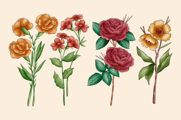 Free vector collection of vintage botany flowers