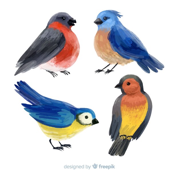 Collection of watercolor autumn birds