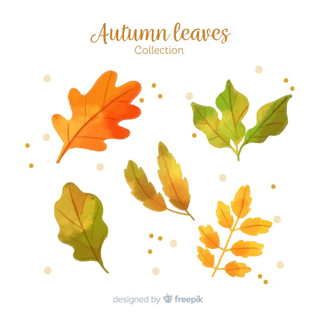 Collection of watercolor autumn leaves