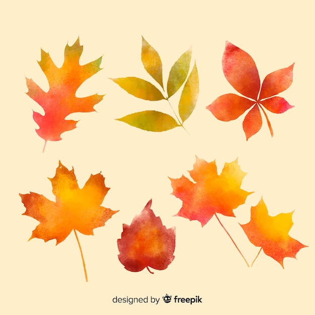 Collection of watercolor autumn leaves