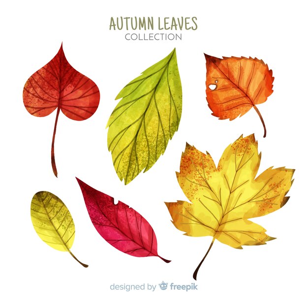 Collection of watercolor autumn leaves