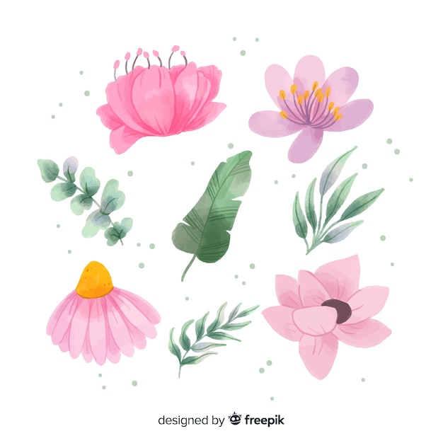 Collection of watercolor flowers and leaves