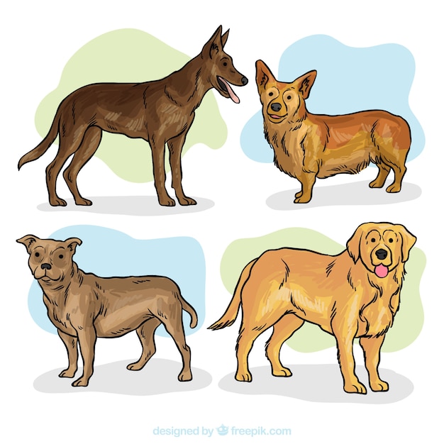 Collection of watercolor hand drawn dogs 