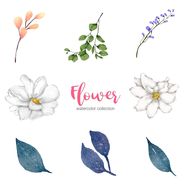 수채화 그림 아름다운 꽃의 컬렉션