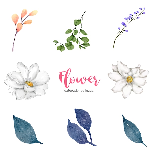 collection of watercolor illustration beautiful flower