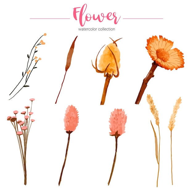 Collection of watercolor illustration beautiful flower