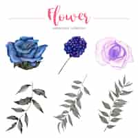 Free vector collection of watercolor illustration beautiful flower