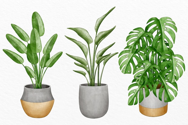 Free vector collection of watercolor plants in pots