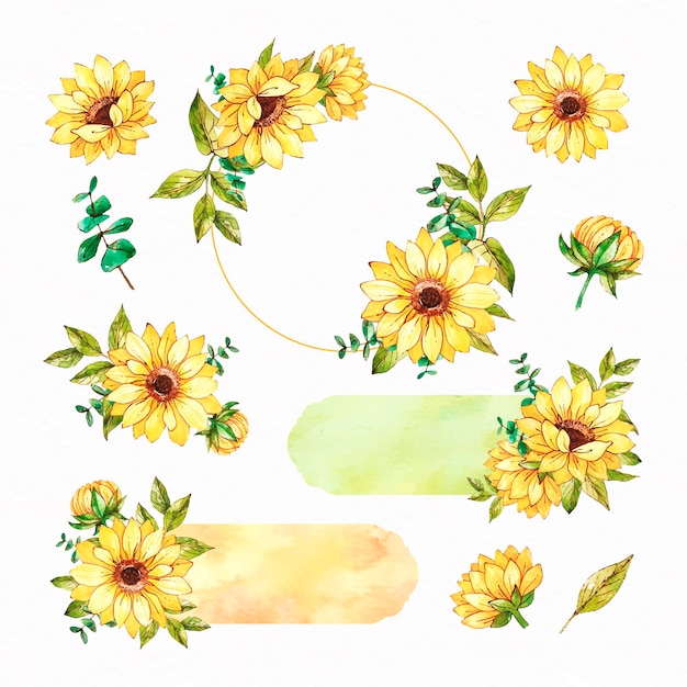 Free vector collection of watercolour sunflower frame and scrapbook set