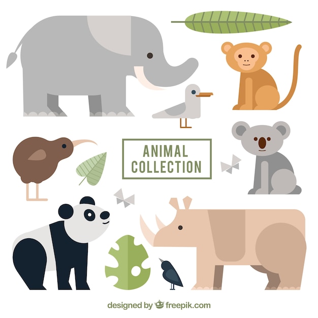 Collection of wild animals with flat design